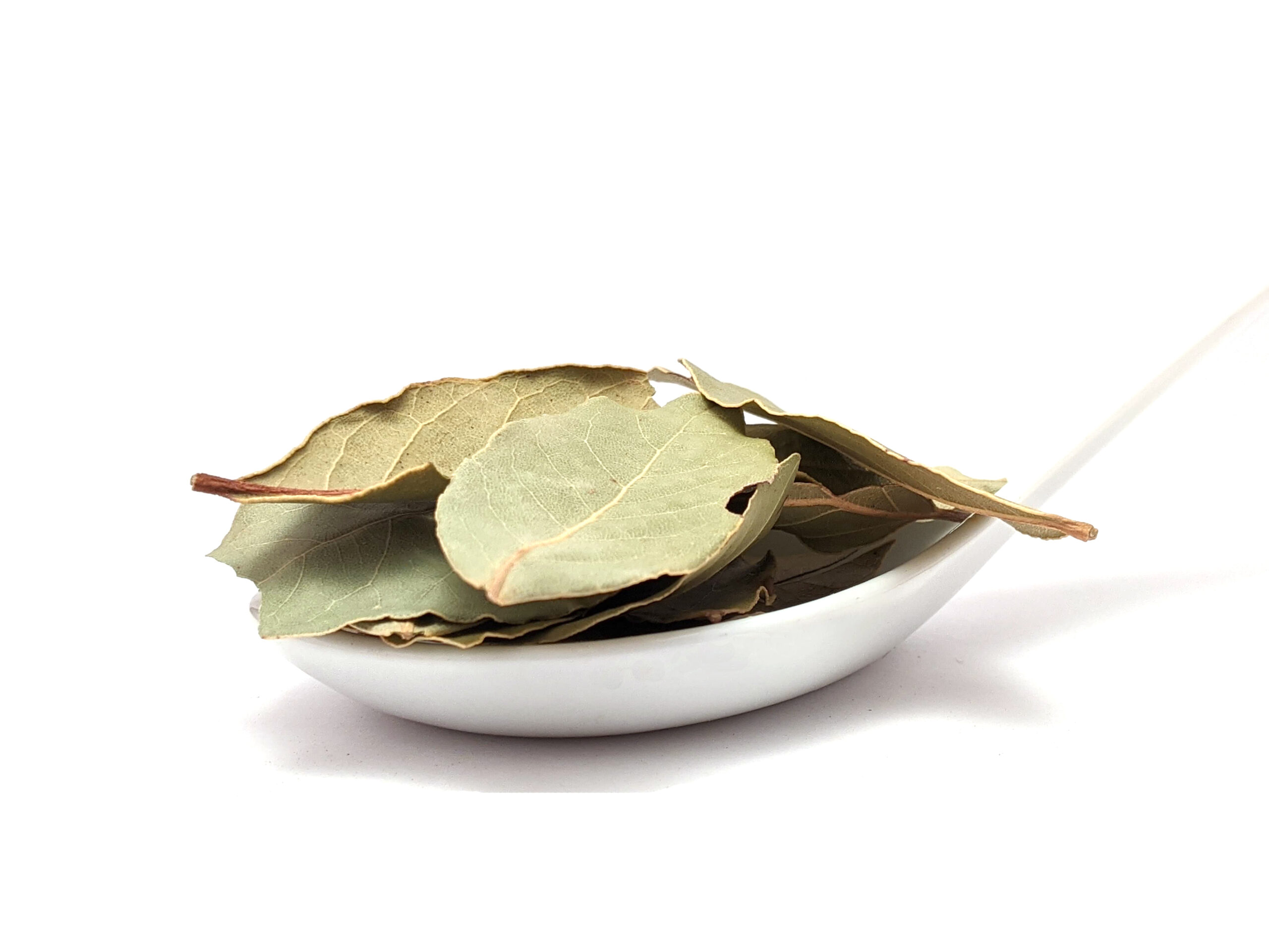 Feuilles de laurier